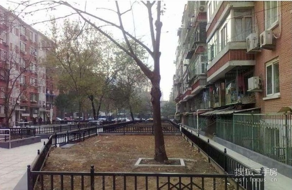 白云观南里