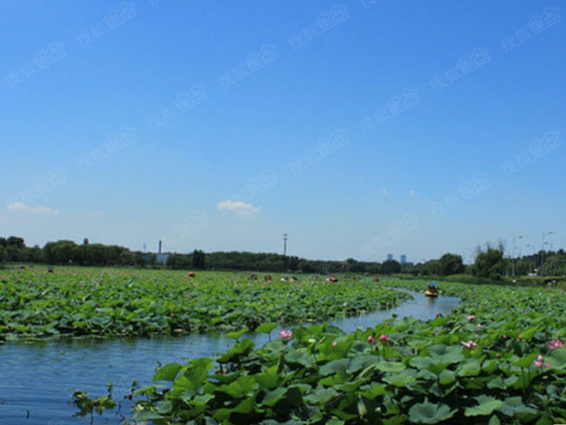 首创花屿岸周边配套图-东湖公园