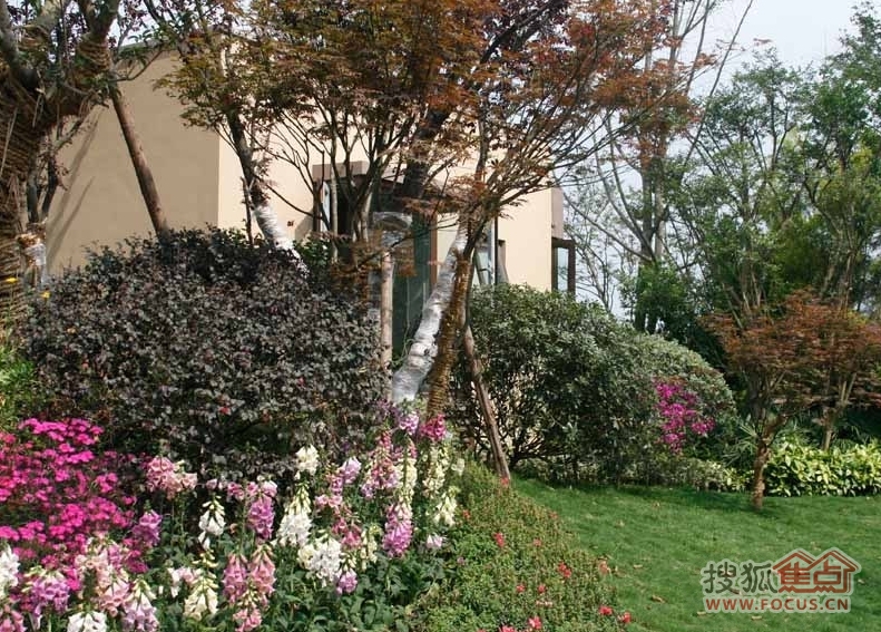 麓山国际社区云曦台_成都麓山国际社区云曦台