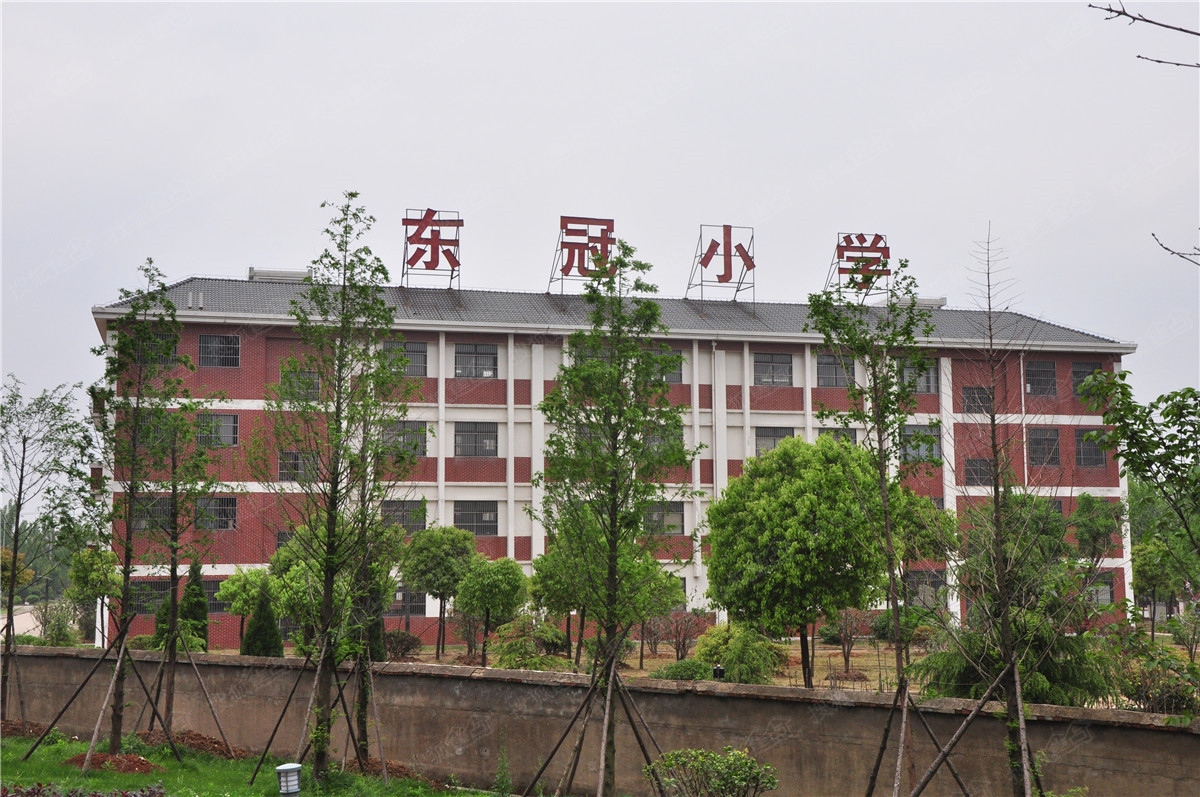 文一名门绿洲