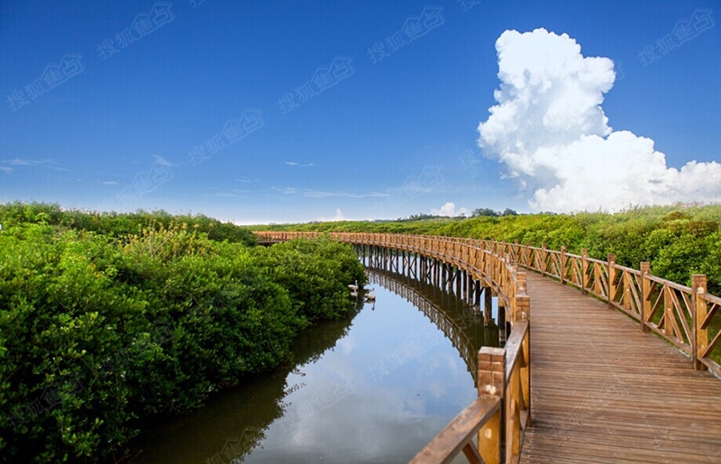 富力红树湾_海南富力红树湾详情-海南搜狐焦点网