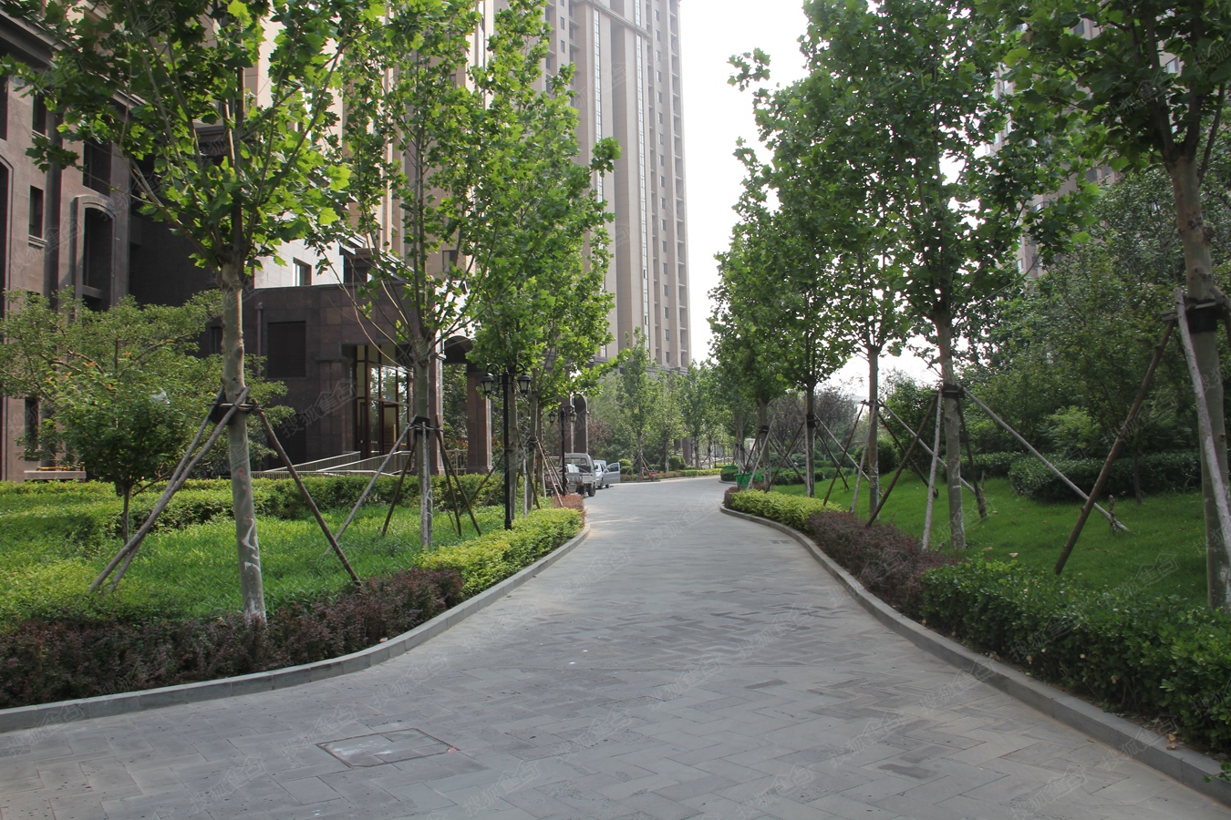 金屋秦皇半岛实景图-一区社区道路-秦皇岛搜狐焦点网