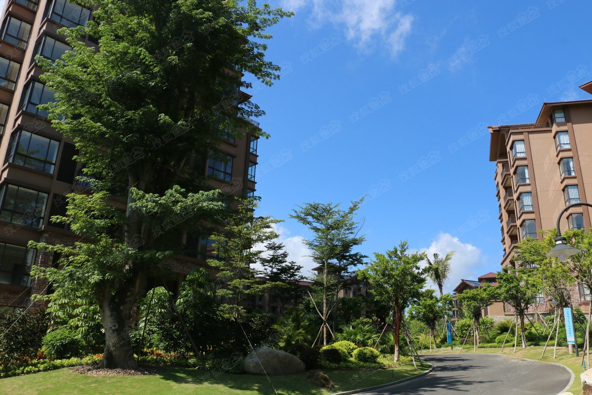 石梅山庄