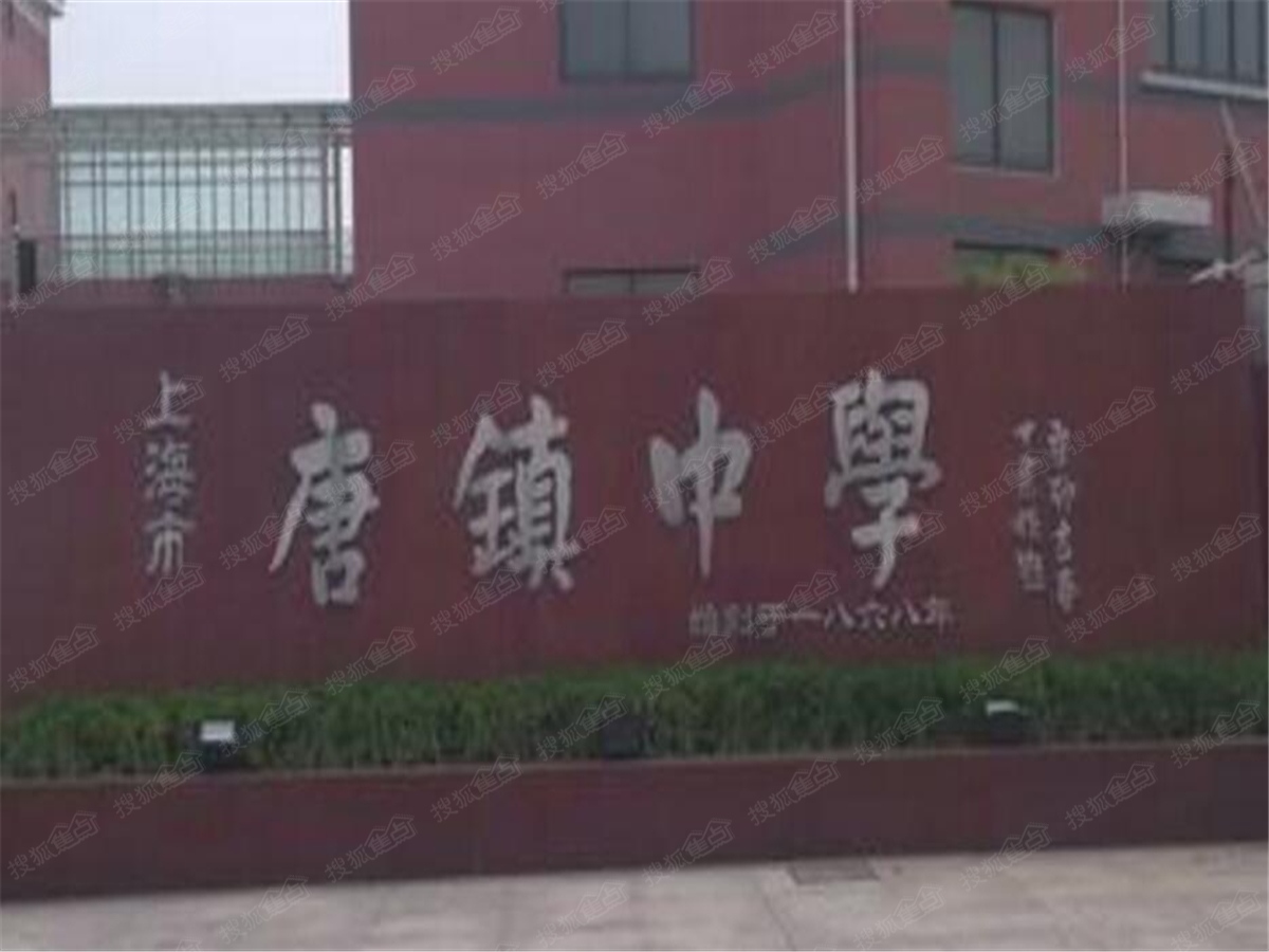 金融家周边配套图-唐镇中学
