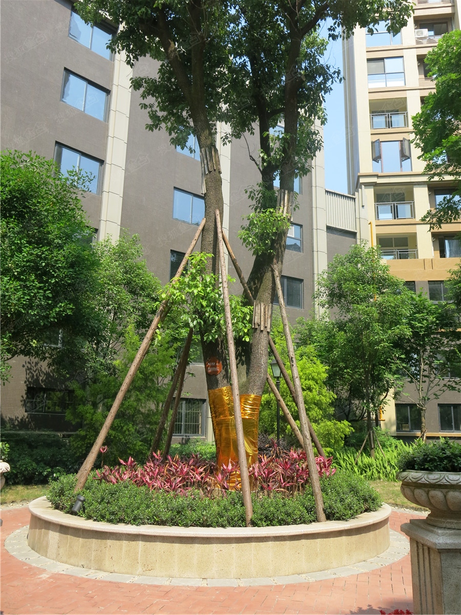 金座威尼谷_成都金座威尼谷详情-成都搜狐焦点网