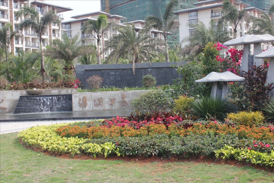 a_378543287.jpg