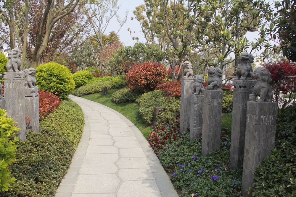 a_377985455.jpg