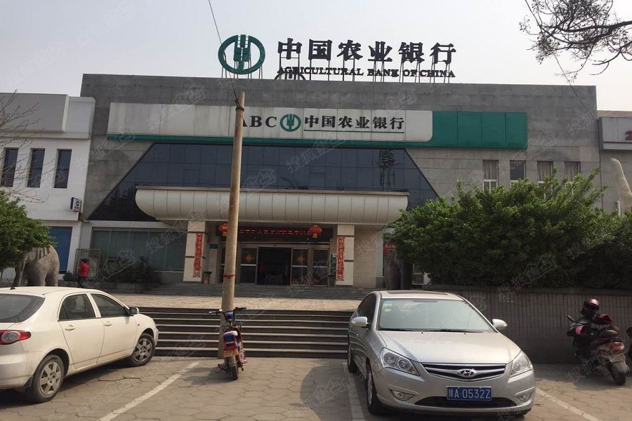 a_377708321.jpg